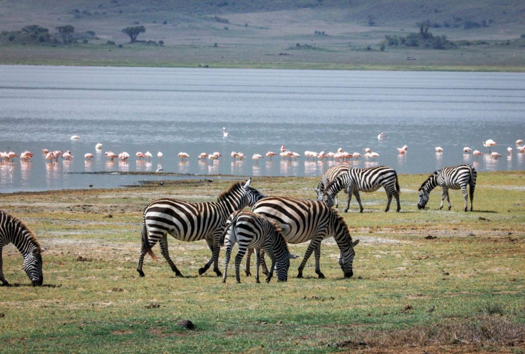 Northern Tanzania landscape