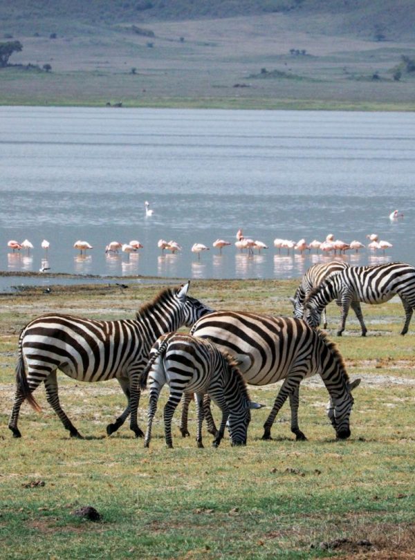 Northern Tanzania landscape