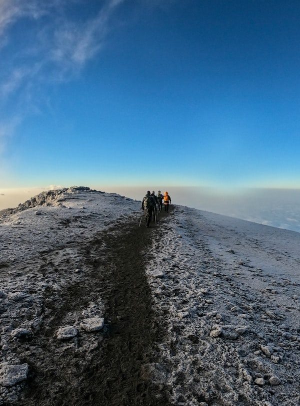 Kilimanjaro ascent - 8 Days Amboseli, Lake Manyara, Serengeti, Ngorongoro & Tarangire Budget Safari