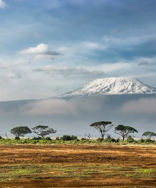 Mt Kilimanjaro route - 9 Days Mt Kilimanjaro Climbing: Rongai Route