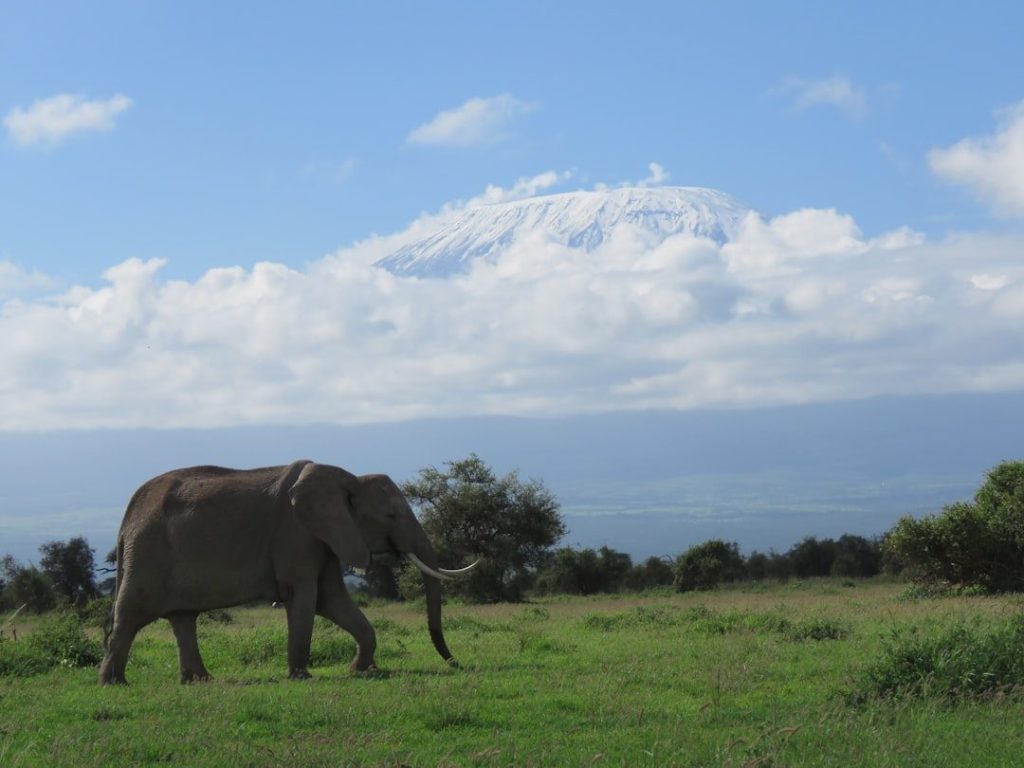 Mt Kilimanjaro trekking - 8 Days Mt Kilimanjaro Climbing: Rongai Route