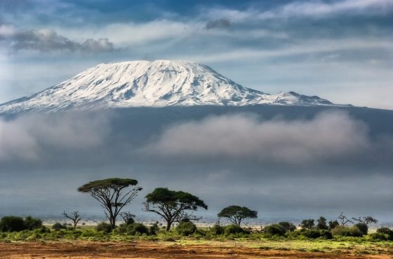 8 Days Mt Kilimanjaro Climbing: Marangu Route