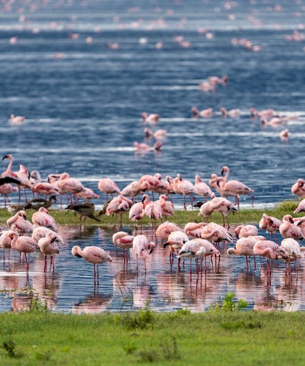 Ngorongoro landscape