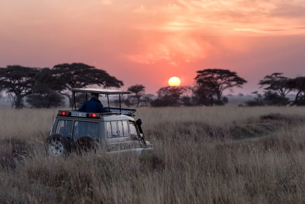 Serengeti plains