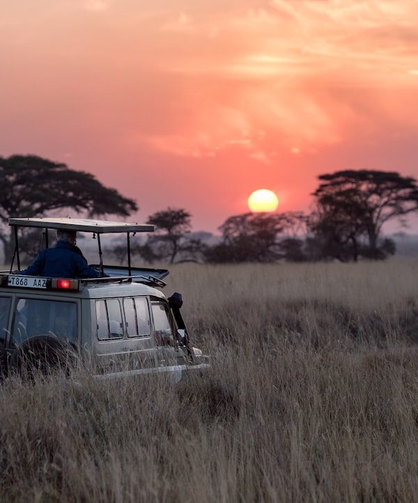 Serengeti plains