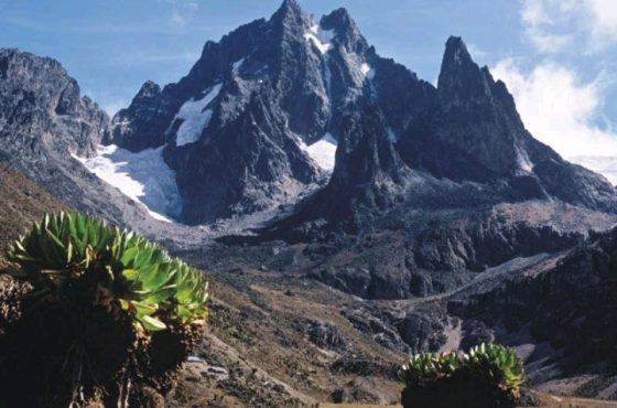 4 Days Mt Kenya Trekking: up Sirimon down Chogoria
